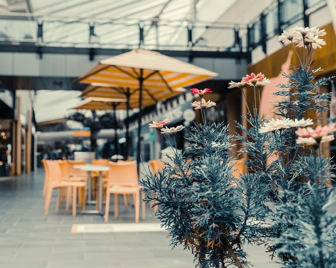 Modernes Café mit Sitzplätzen, Sonnenschirmen und blühenden Pflanzen